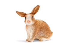 Kaninchen