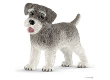 Zwergschnauzer
