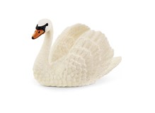 Schwan