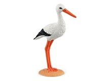 Storch
