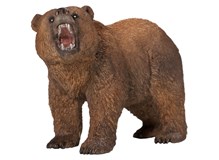 Grizzlybär
