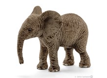 Afrikanischer Elefantenbaby