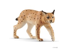 Luchs