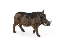 Warzenschwein